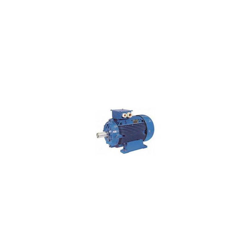 Moteur IE3 asynchrone triphasé à pattes - 1500 t/min 1,1 kWh PROMECA MOTE111500T