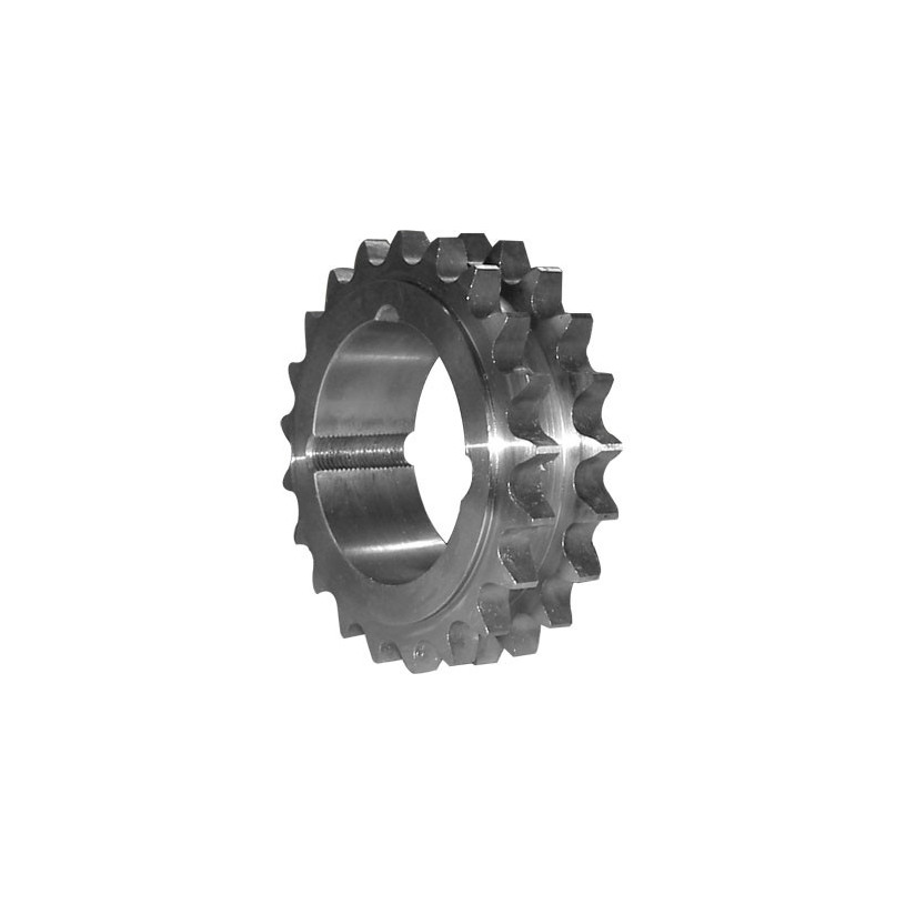 Pignon acier double à moyeu amovible Pas 15,875 - 21 dents - moyeu amovible 1610 PROMECA PIGNAM21D158D