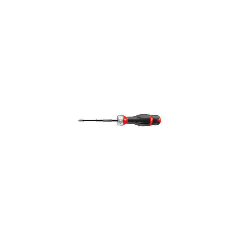 NEX.25A, Embout de vissage Facom Torx, T25 mm