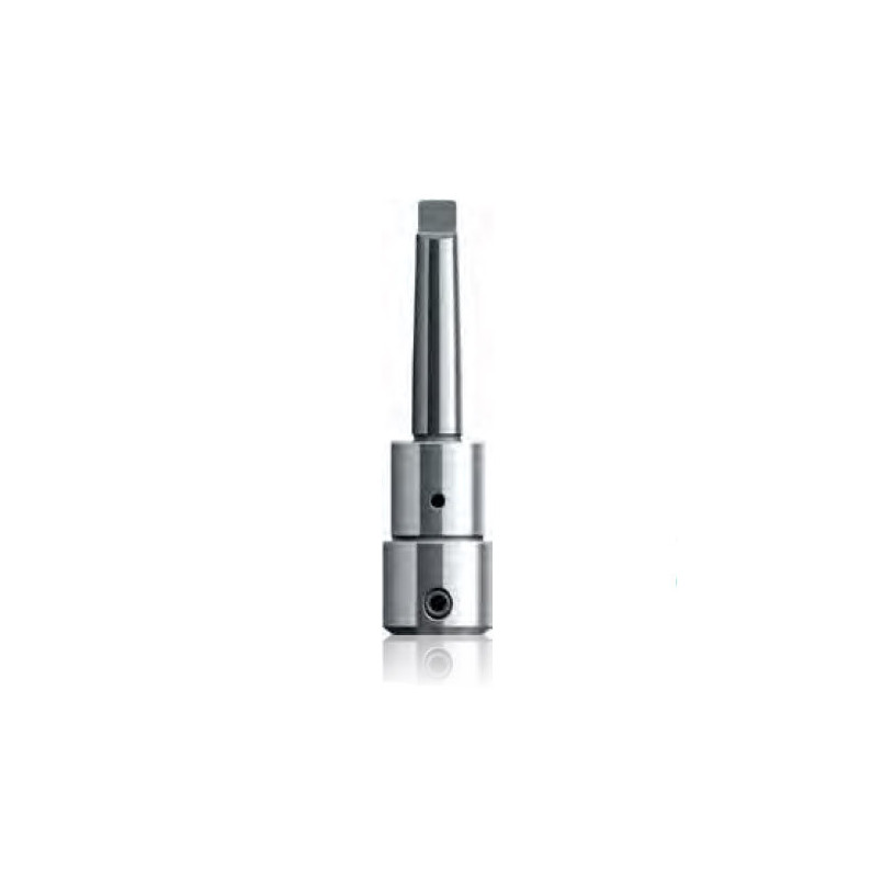 Porte-Outil Fraise Weldon19 Manuel vers CM2 BDS