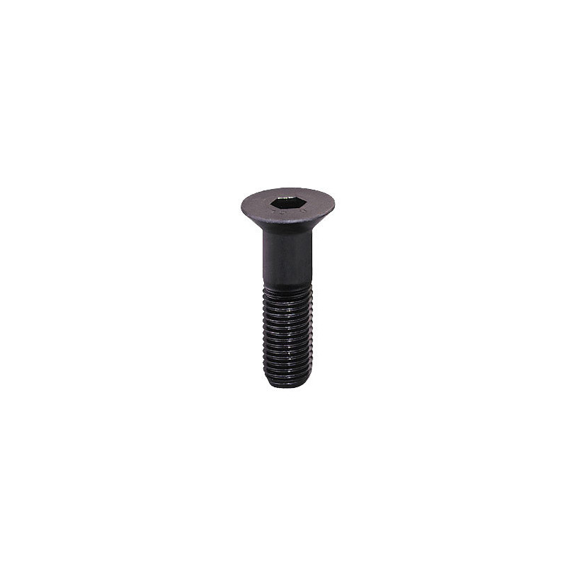 Vis tête fraisée 6 pans creux acier brut classe 10.9 FHC 8 x 80 mm PROMECA