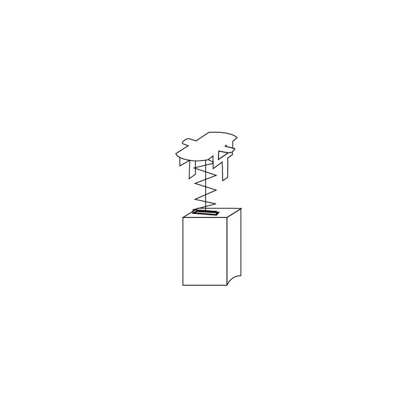 Jeu de 2 charbons Hitachi - sans rupteur Code 0799-01 - 5 x 6 x 11 mm PROMECA CHARCV54