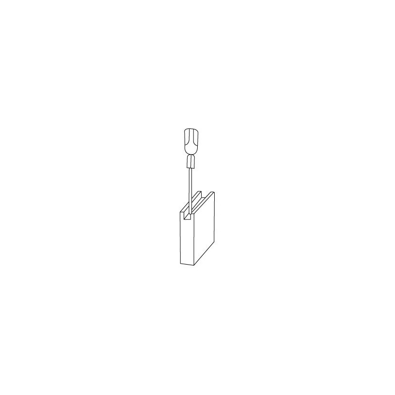 Jeu de 2 charbons Bosch - sans rupteur Code 0155 - 5 x 8 x 19 mm PROMECA CHARB0155