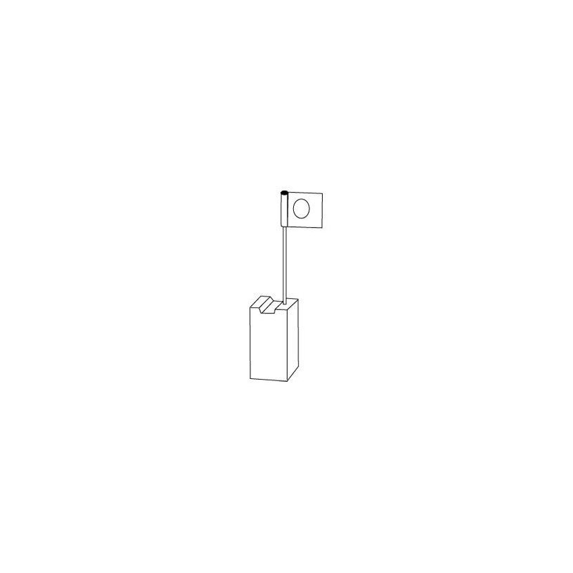 Jeu de 2 charbons Bosch - avec rupteur Code 1117 - 6,4 x 12,5 x 19 mm PROMECA