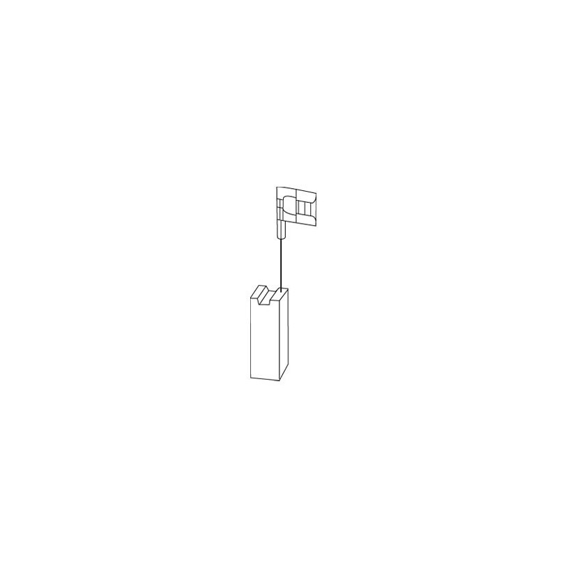 Jeu de 2 charbons Bosch - avec rupteur Code 1140 - 6,3 x 12,5 x 22 mm PROMECA