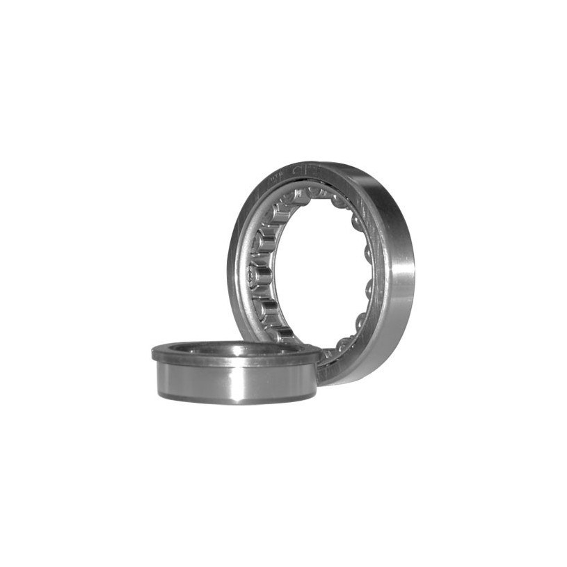 Roulement à Rouleaux Cylindriques à Epaulement Ø 20 x 52 x 15 - NJ 304 PROMECA