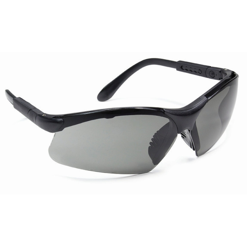 Lunettes Protection Oculaire Polycarbonate Galbé Branches Reglables - Teinte Solaire - THETA PROMECA