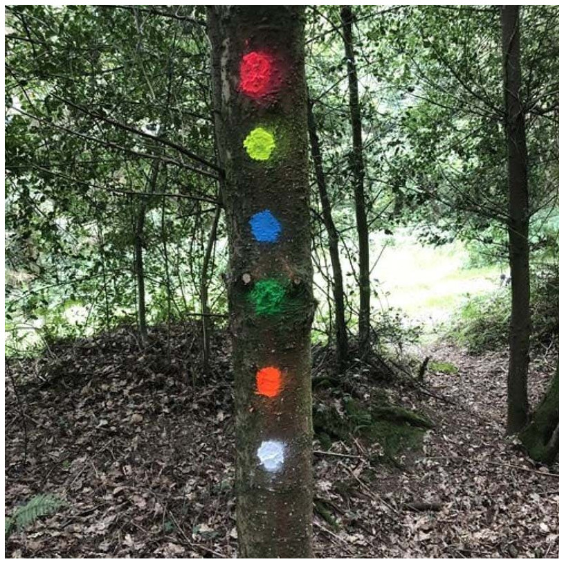 Traceur Forestier Aérosol 650ML - Durée Maxi 2 Ans Cerise Fluo SOPPEC