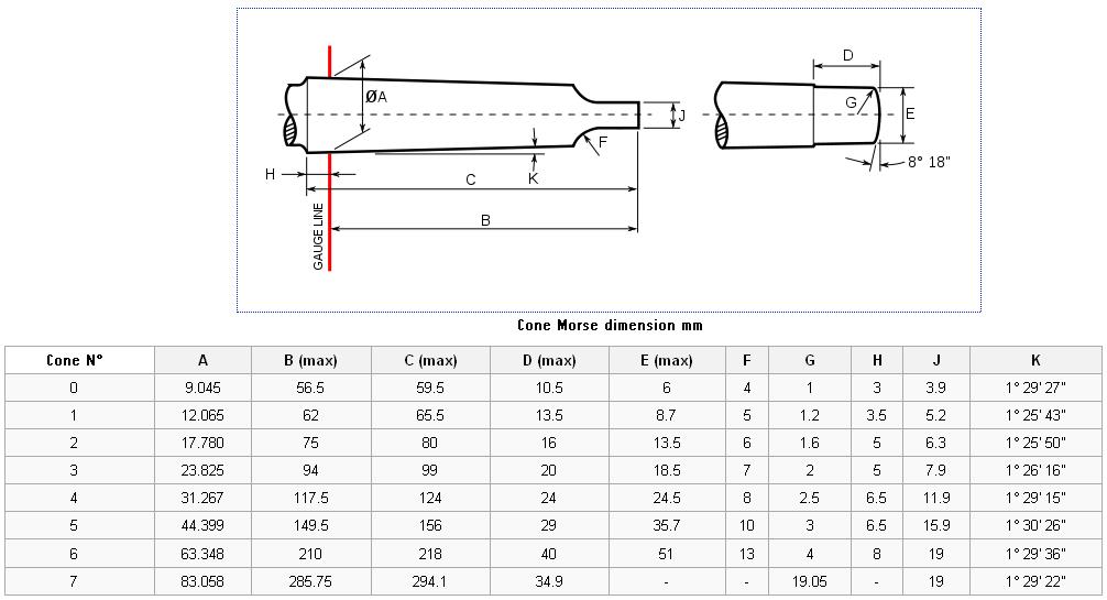 les différents types de cônes morses